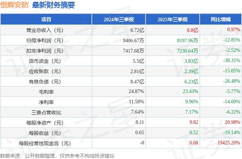 恒辉安防2025年三季报简析 增收不增利，应收账款高企，安全评价业务引关注